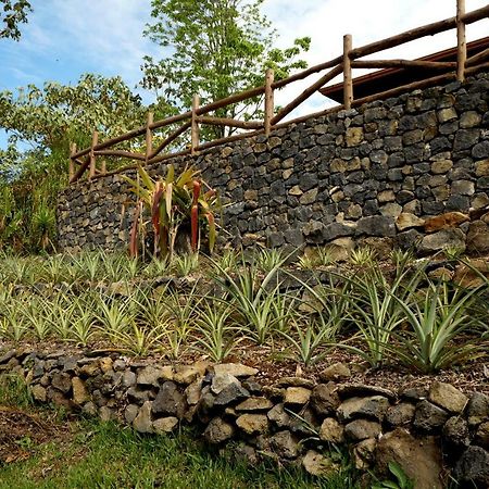 Finca Estacion Descansos Bed & Breakfast Paraiso  Luaran gambar